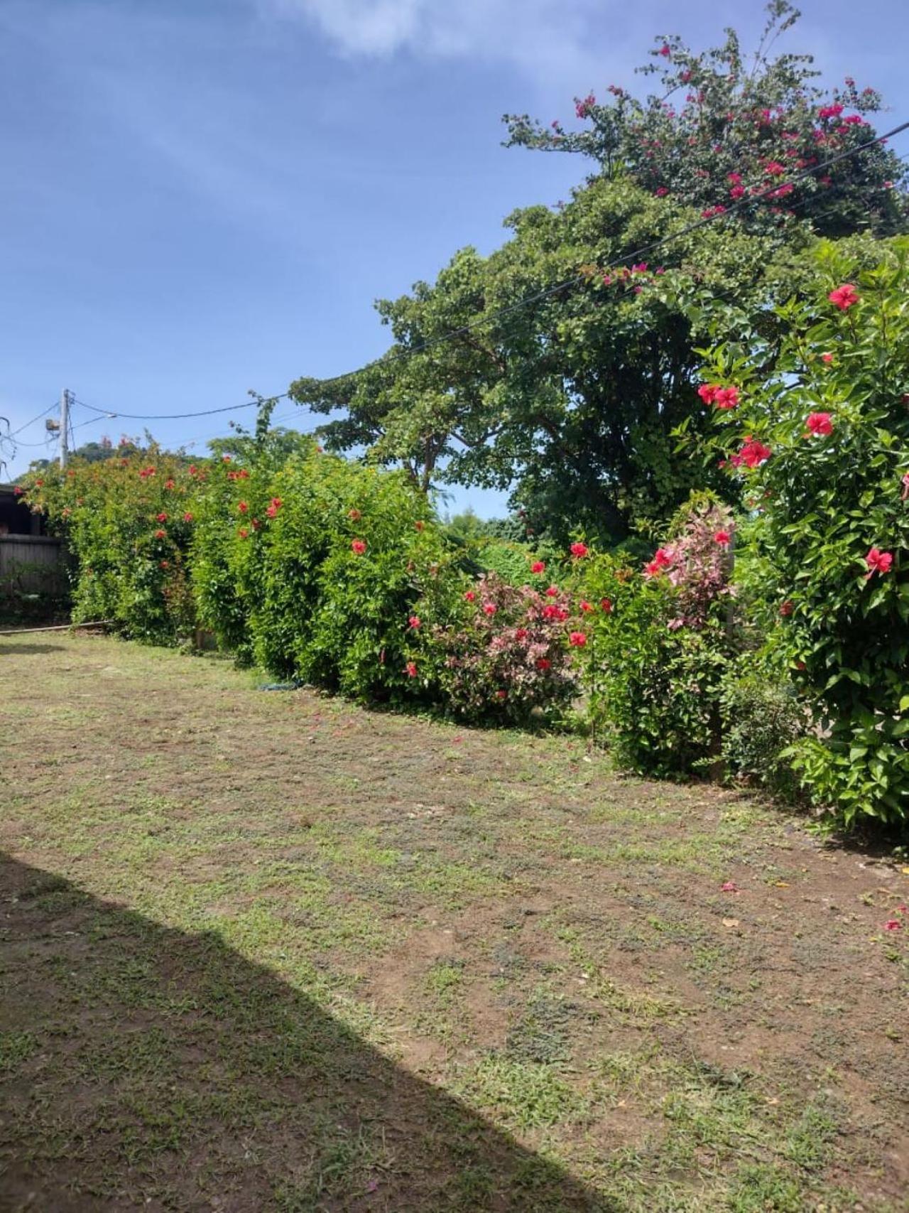 Hotel Palhoca Da Colina Fernando de Noronha Esterno foto